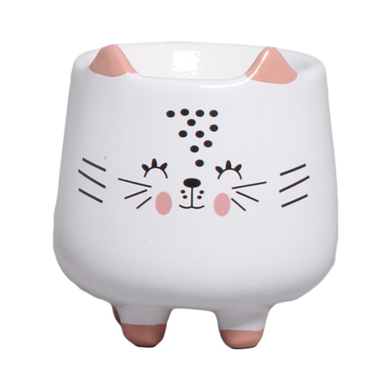 catsl