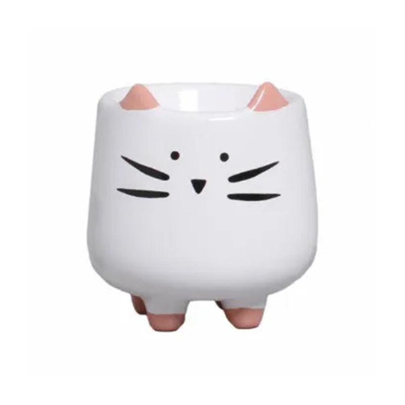 catsq